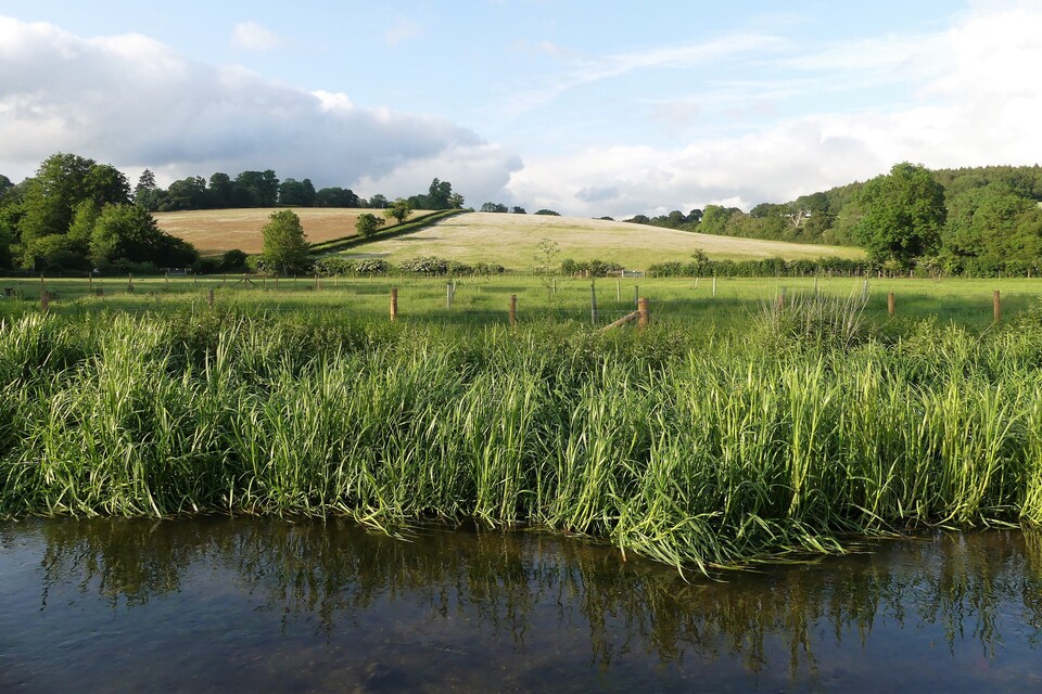 Pet owners urged to take care when using flea and tick treatments to help protect our waterways