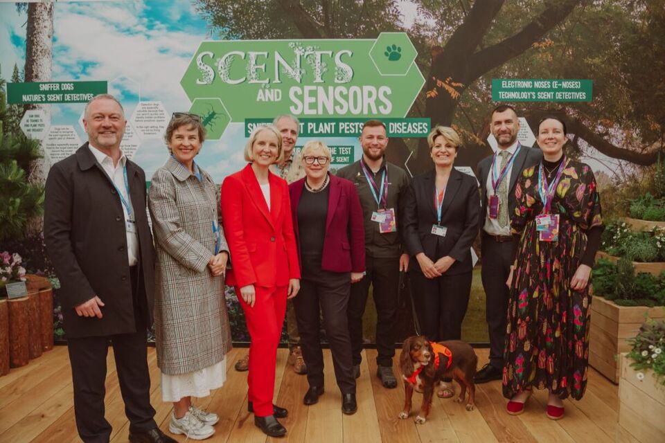 APHA sniffing out plant threats at the RHS Chelsea Flower Show