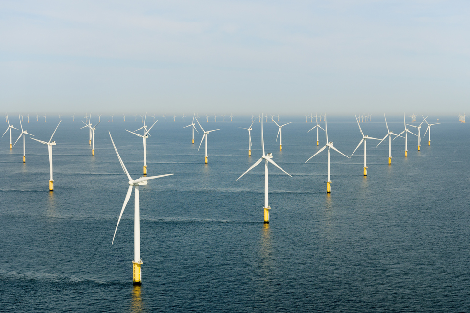 New offshore wind environmental protection powering homes