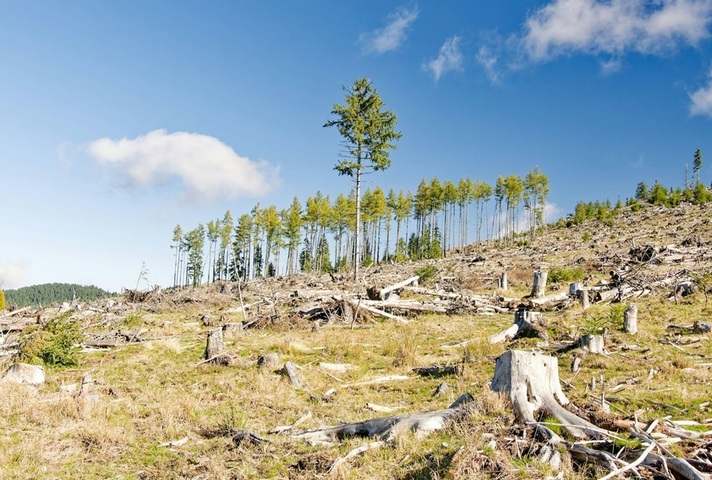Deforested hillside under a blue sky. Credit: Iuliu Illes, Unsplash