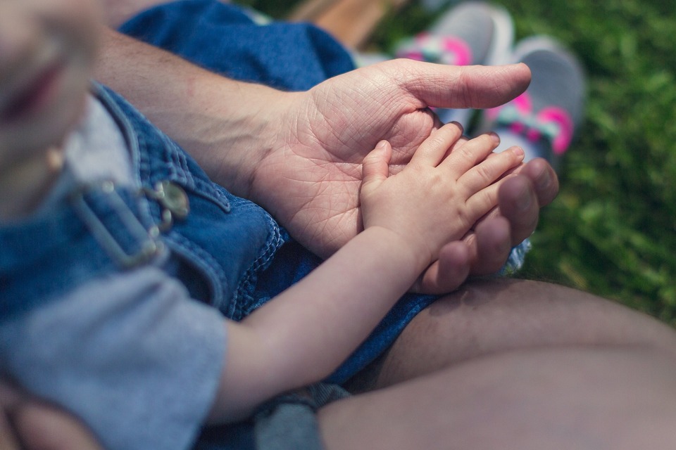 Increasing capacity: Family legal aid providers