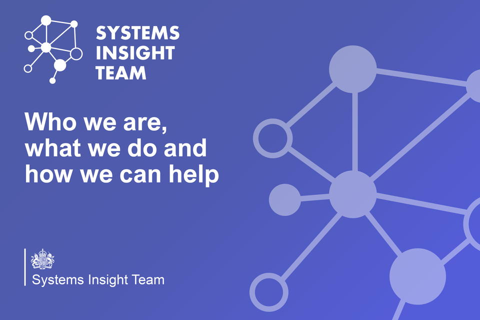 Systems Insight Team