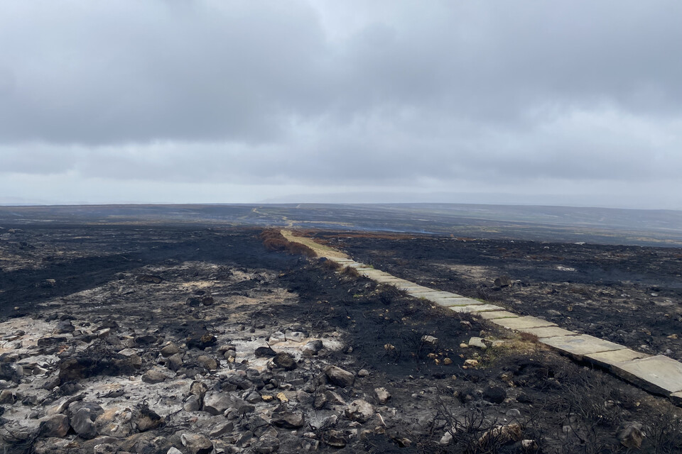 Government funds North York Moors wildfire recovery