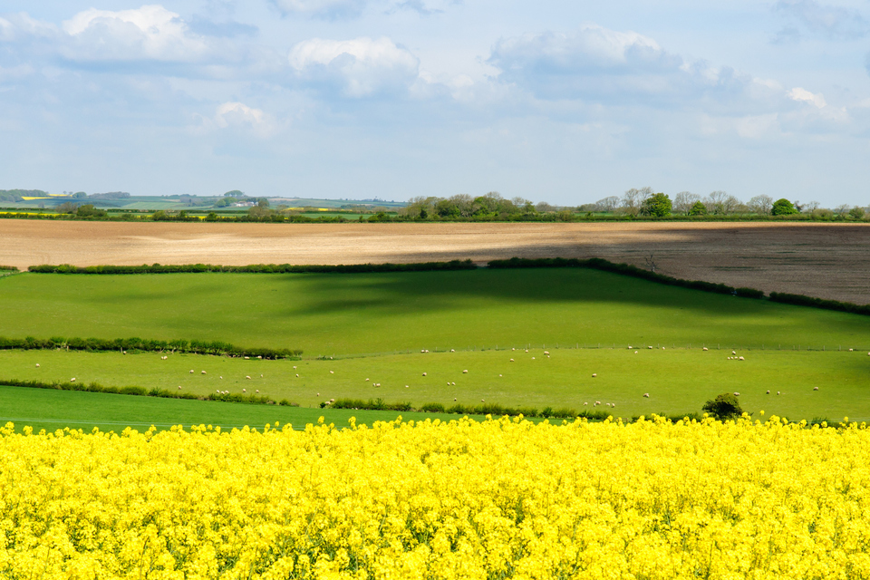 £290m for simpler, fairer, more accessible farming schemes