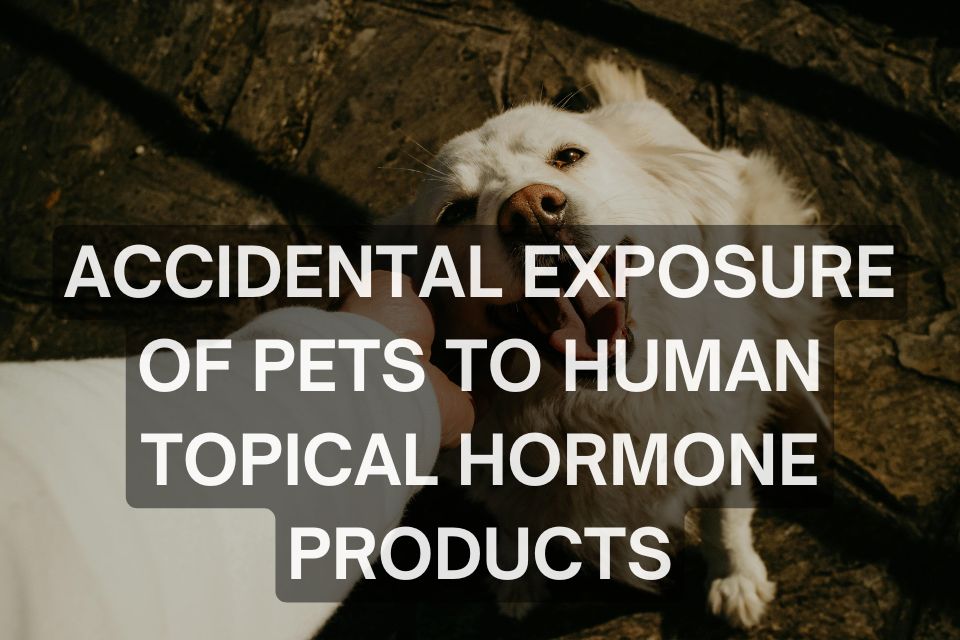 Topical hormone treatments: pet owners warned of risks to pets from accidental exposure