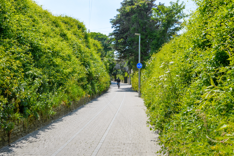 New tools to map where environmental pressures impact communities