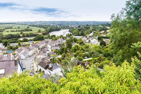 Buildings and hedge overview