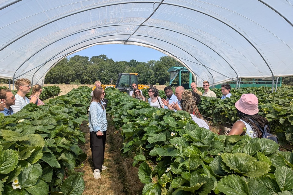 Britain's food and farming trade attachés unlock £80m in new export opportunities 