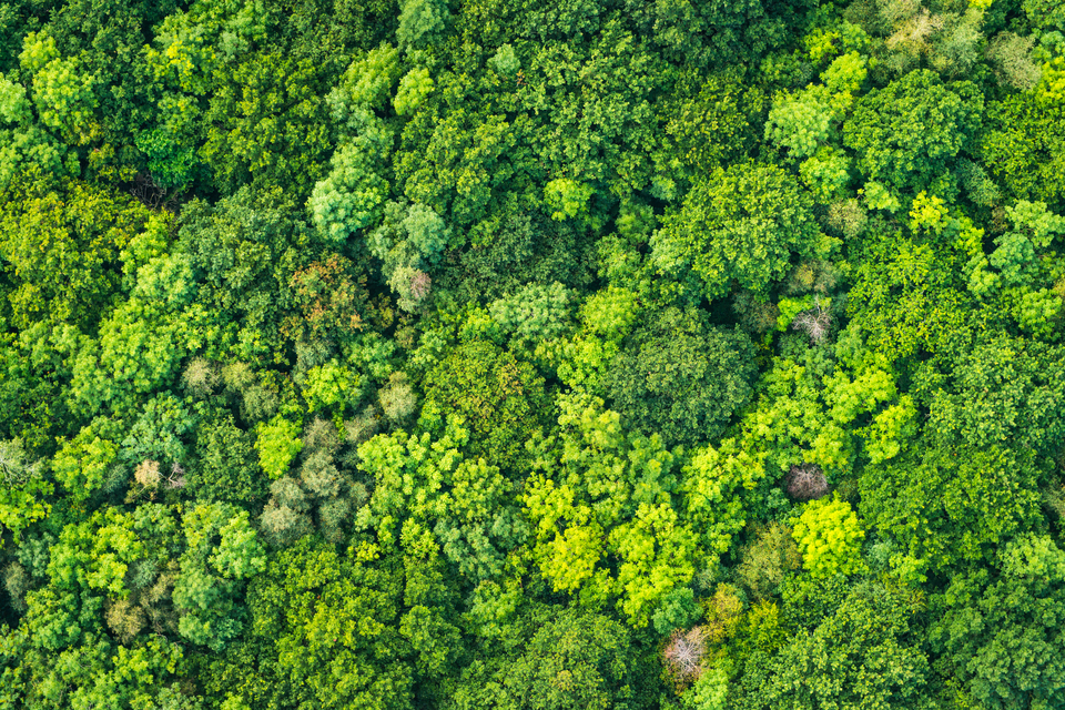 Smarter use of government land to support nature and climate