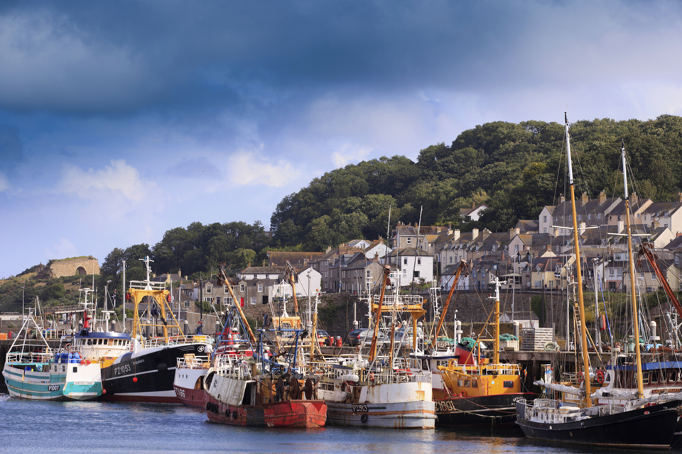 Latest Fisheries and Seafood Scheme funding round reaches three-month milestone