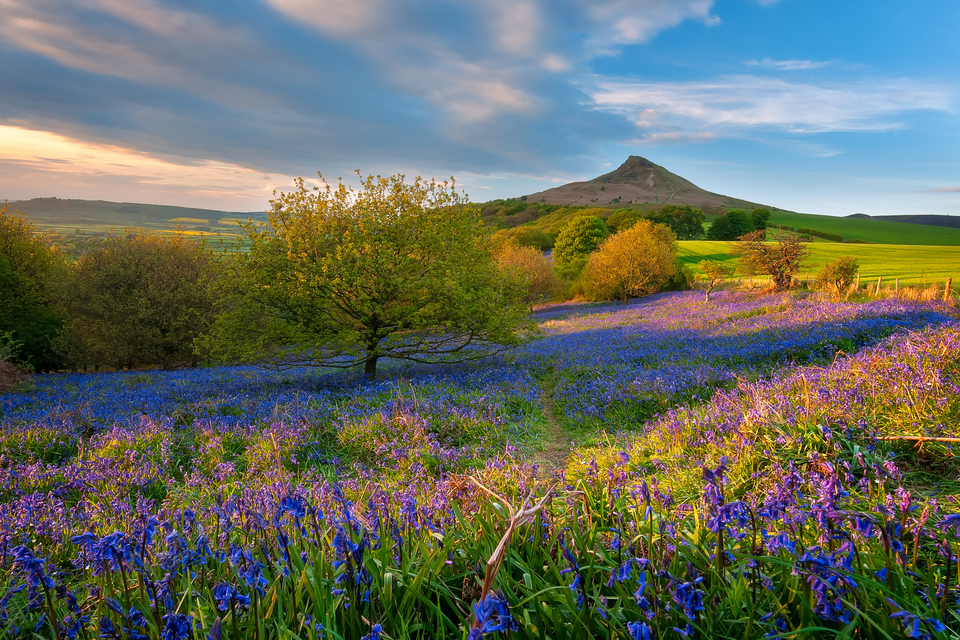 Government accelerates drive to protect 30% of England's land for nature by 2030