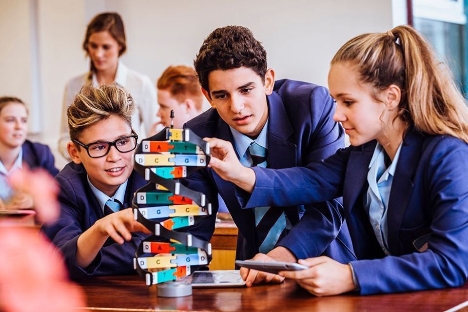 Hundreds more schools to save on bills as government solar drive slashes millions off energy costs