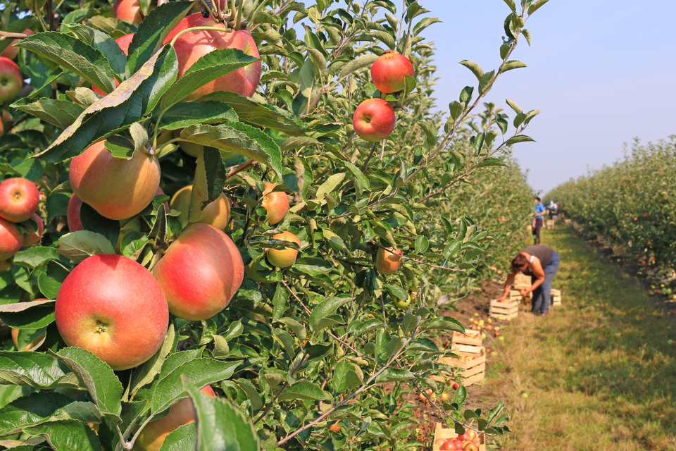 New support to help farmers thrive for generations