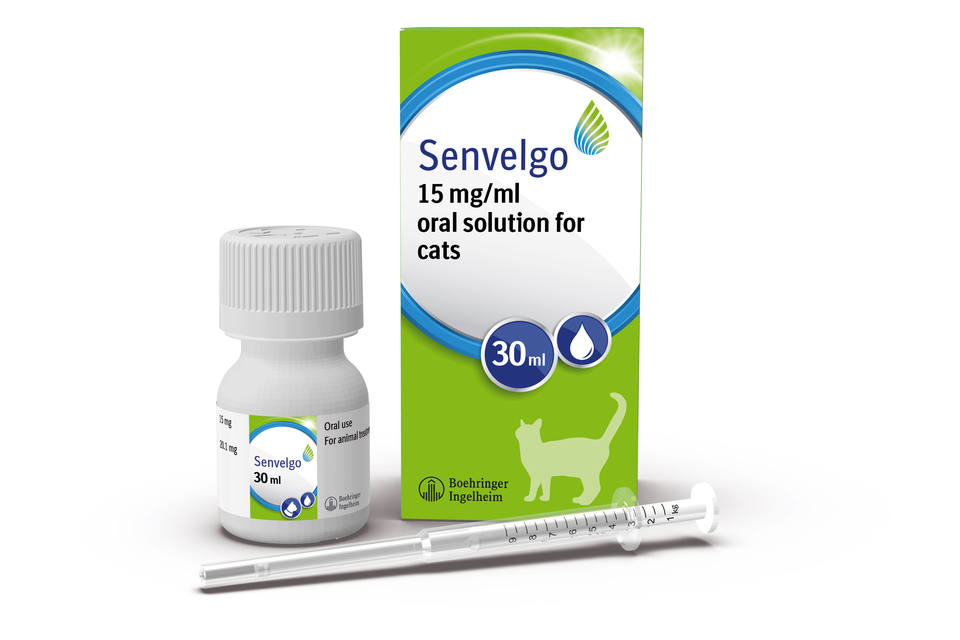 Senvelgo 15 mg/ml Oral Solution for Cats – SPC change