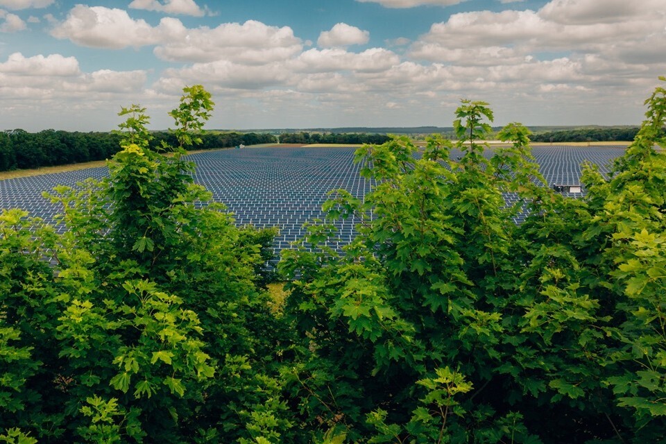 UK Approves Low Carbon's 400 MW Beacon Fen Energy Park In Lincolnshire
