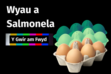 Y Gwir am Fwyd: wyau a salmonela.