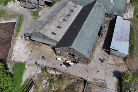 An aerial view of a farm building and livestock herd