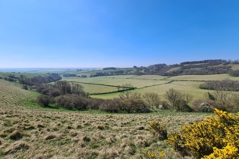 Photograph of Lyscombe NNR