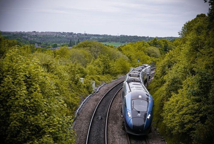 Blue Train in Countryside