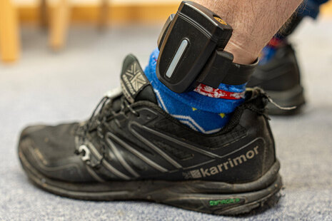 Leg with ankle tag