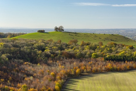 Aerial view of woods and grassy bank with built up area behind.