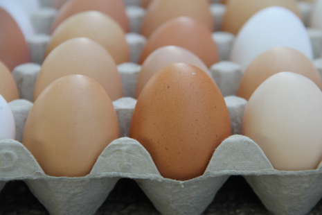 Eggs in box.
